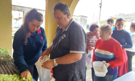 Cultivar encerrará atividades de 2025 na primeira quinzena de dezembro