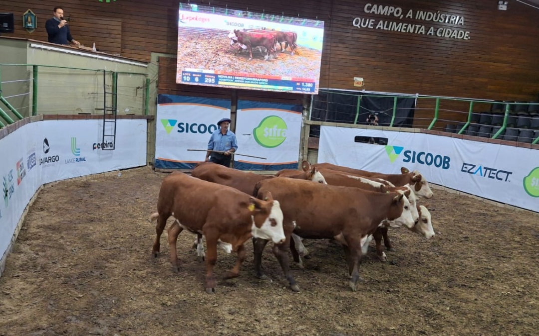2º Leilão Agro do Bem já tem data definida para acontecer