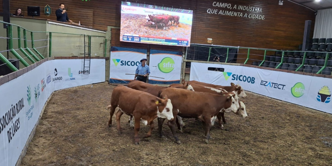 2º Leilão Agro do Bem já tem data definida para acontecer