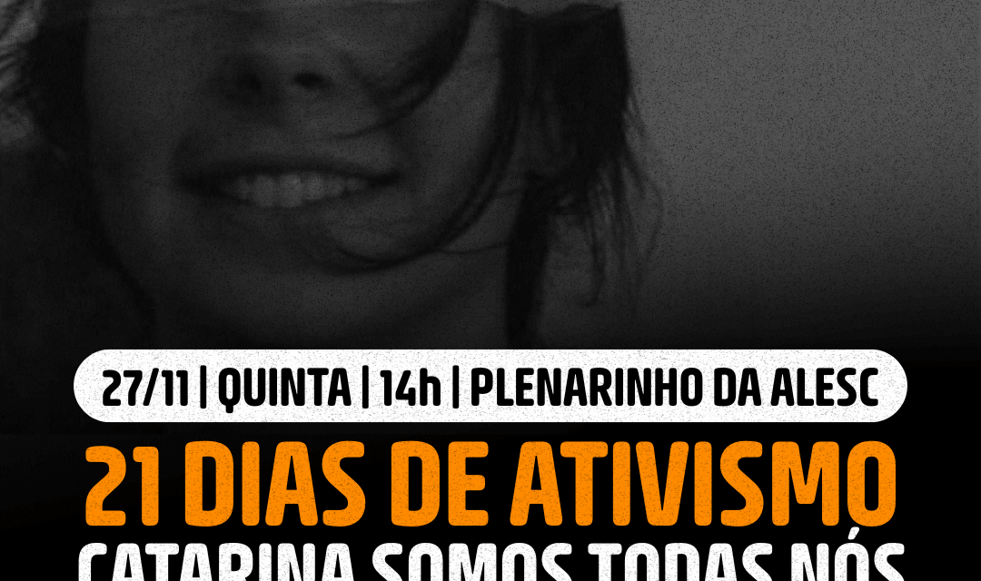 Luciane Carminatti convoca audiência pública para discutir a segurança e proteção às mulheres