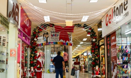 Procon de Lages divulga pesquisa de preços de artigos de decoração de Natal