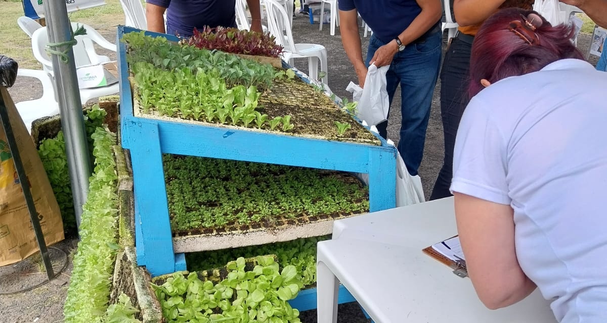 Programa Cultivar estará no bairro da Várzea nesta terça-feira