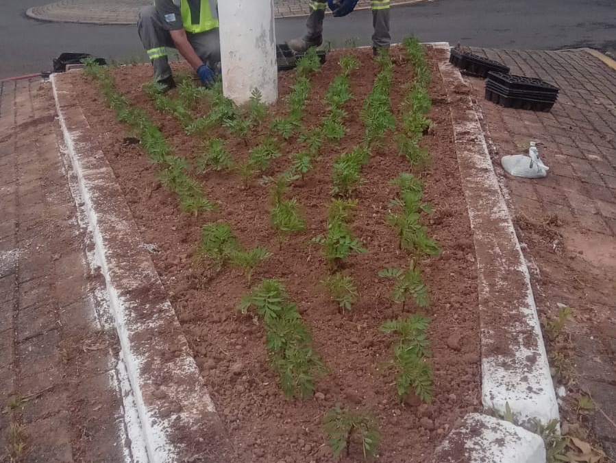 Secretaria de Serviços Públicos inicia semana com ações de poda, roçada e jardinagem em diversos pontos da cidade