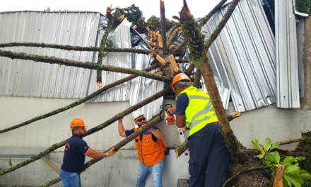 Prefeitura de Lages atende mais de 60 ocorrências devido à tempestade de domingo