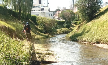 Manutenção das áreas urbanas avança com roçadas e limpeza em diversos pontos da cidade