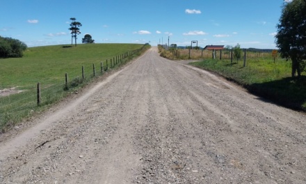 Secretaria de Agricultura, Pecuária e Pesca contabiliza importantes realizações em 2025