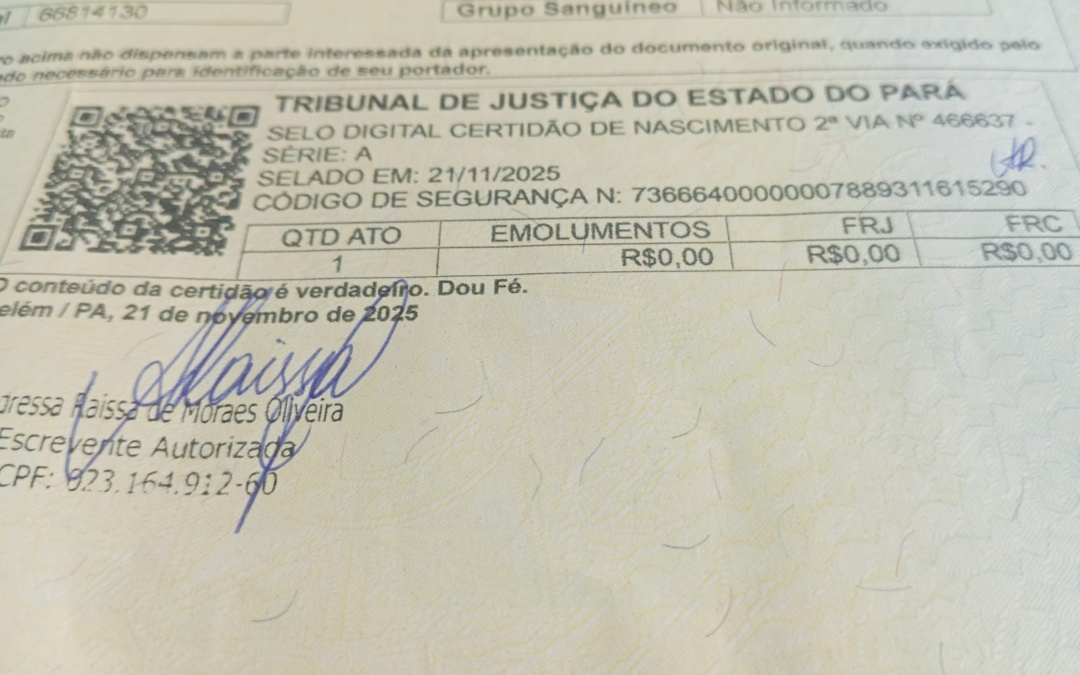 Criança nascida em Belém do Pará tem paternidade reconhecida em Lages após atuação conjunta do IPR, Vara da Família e Defensoria Pública