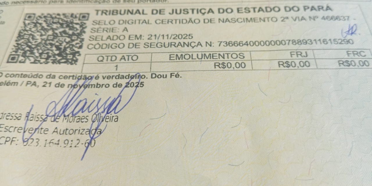 Criança nascida em Belém do Pará tem paternidade reconhecida em Lages após atuação conjunta do IPR, Vara da Família e Defensoria Pública