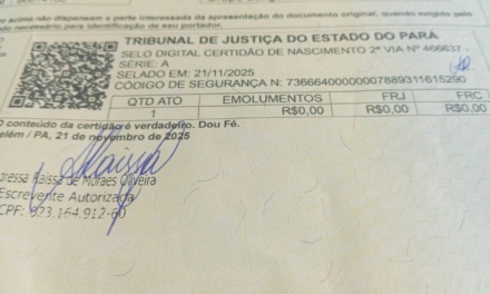 Criança nascida em Belém do Pará tem paternidade reconhecida em Lages após atuação conjunta do IPR, Vara da Família e Defensoria Pública