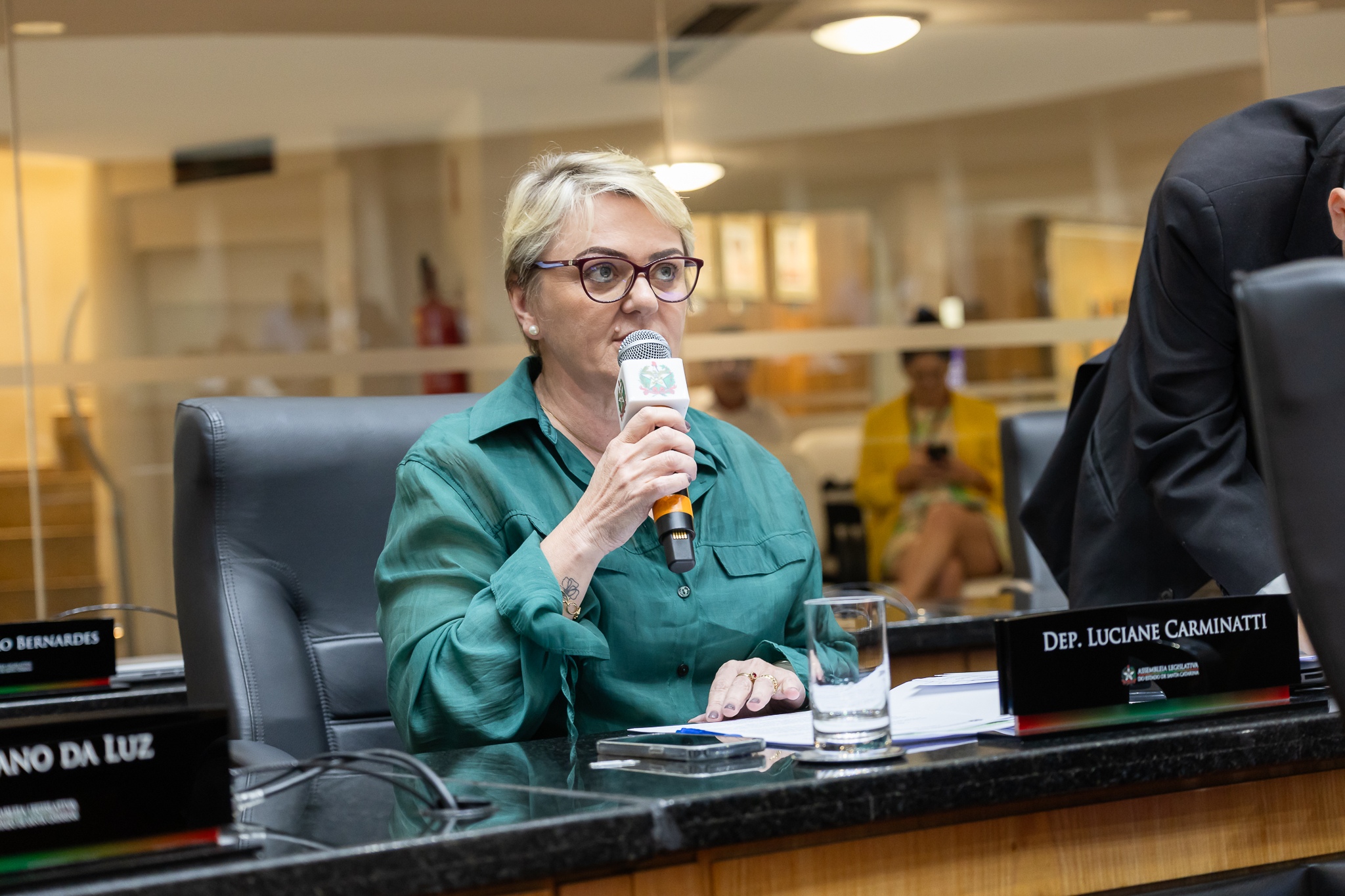 Emenda da deputada Luciane Carminatti para ampliar proibição na importação de leite em pó e derivados é aprovada na Alesc