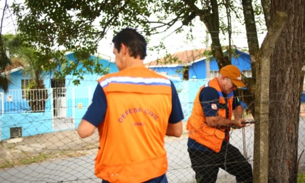Defesa Civil de Lages atua de forma preventiva e elimina risco de acidentes com árvores nos bairros São Pedro e São Francisco