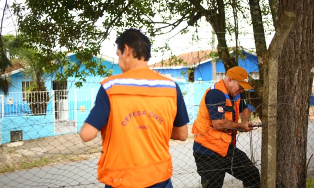 Defesa Civil de Lages atua de forma preventiva e elimina risco de acidentes com árvores nos bairros São Pedro e São Francisco