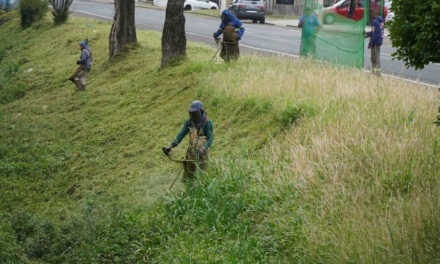 Grande ação de roçadas: Secretaria de Serviços Públicos mantém quatro frentes de trabalho em pontos urbanos de Lages