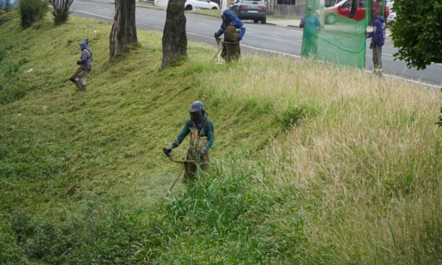 Grande ação de roçadas: Secretaria de Serviços Públicos mantém quatro frentes de trabalho em pontos urbanos de Lages