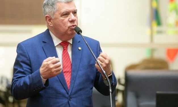 Deputado Mário Motta apresenta Lei Orelha para endurecer penas em casos de maus-tratos a animais