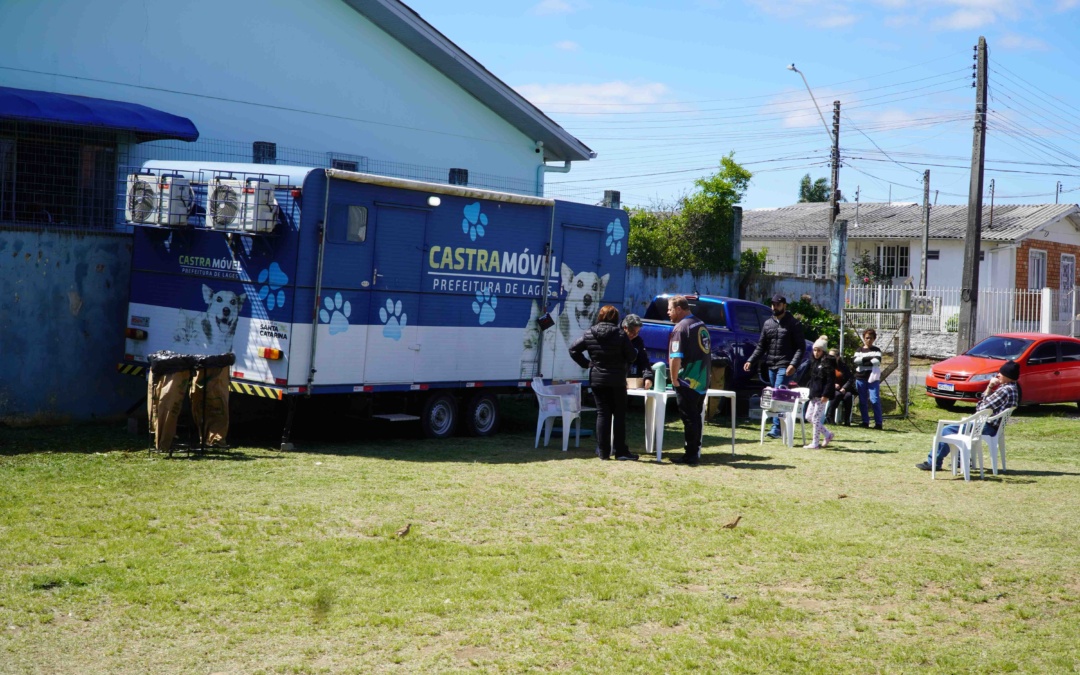 Cobea fará cadastramento para castração de cães e gatos nesta sexta-feira no bairro Tributo