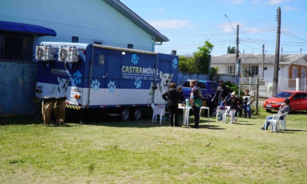 Cobea fará cadastramento para castração de cães e gatos nesta sexta-feira no bairro Tributo