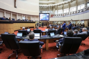 Deputados aprovam proibição de queima de fogos de artifício com estampido