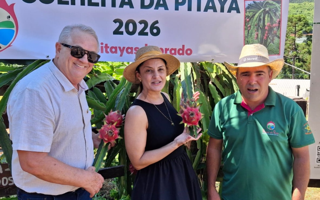 Conserra participa da abertura da colheita das pitayas em Cerro Negro