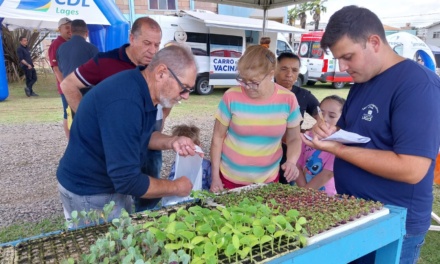 Distribuição de mudas de hortaliças pelo Programa Cultivar agora é quinzenal