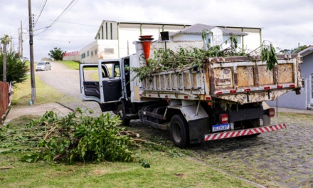 Praças e avenidas de grande circulação recebem limpeza e roçada nesta quinta-feira