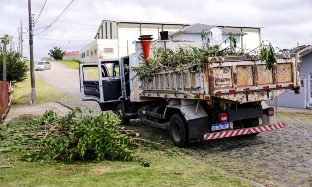 Praças e avenidas de grande circulação recebem limpeza e roçada nesta quinta-feira