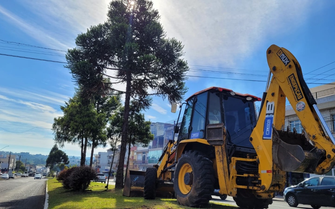 Prefeitura inicia retirada de araucárias do canteiro central da Avenida Presidente Vargas para melhorar fluxo viário