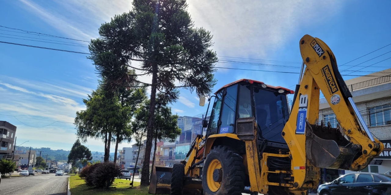 Prefeitura inicia retirada de araucárias do canteiro central da Avenida Presidente Vargas para melhorar fluxo viário