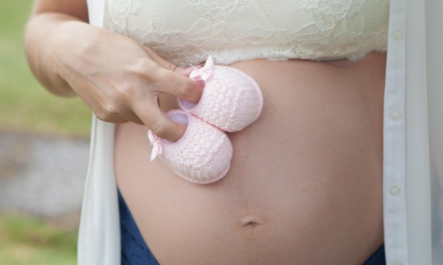 Primeira edição 2026 do Grupo de Gestantes da Unidade Básica de Saúde do bairro Habitação