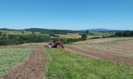 Programa Terra Boa subsidia aquisição de calcário, essencial à melhora da produção e produtividade das lavouras