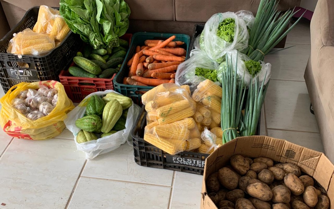 Alimentação escolar com produtos da Agricultura Familiar marca início do ano letivo em Otacílio Costa