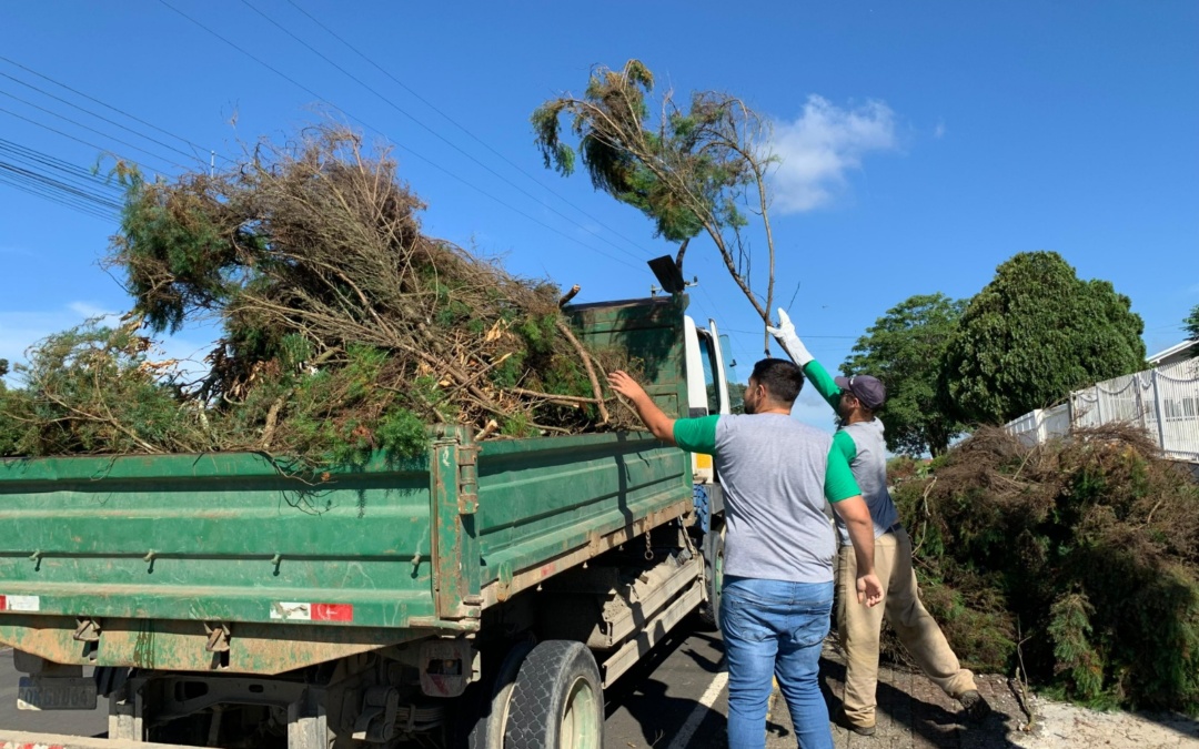 Prefeitura de Otacílio Costa realiza 2º Mutirão de Recolhimento de Galhos no perímetro urbano