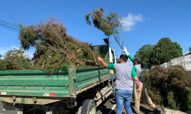 Prefeitura de Otacílio Costa realiza 2º Mutirão de Recolhimento de Galhos no perímetro urbano