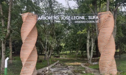 Coluna Ana Paula Pires Coelho: Refúgio verde renasce e encanta moradores em Otacílio Costa