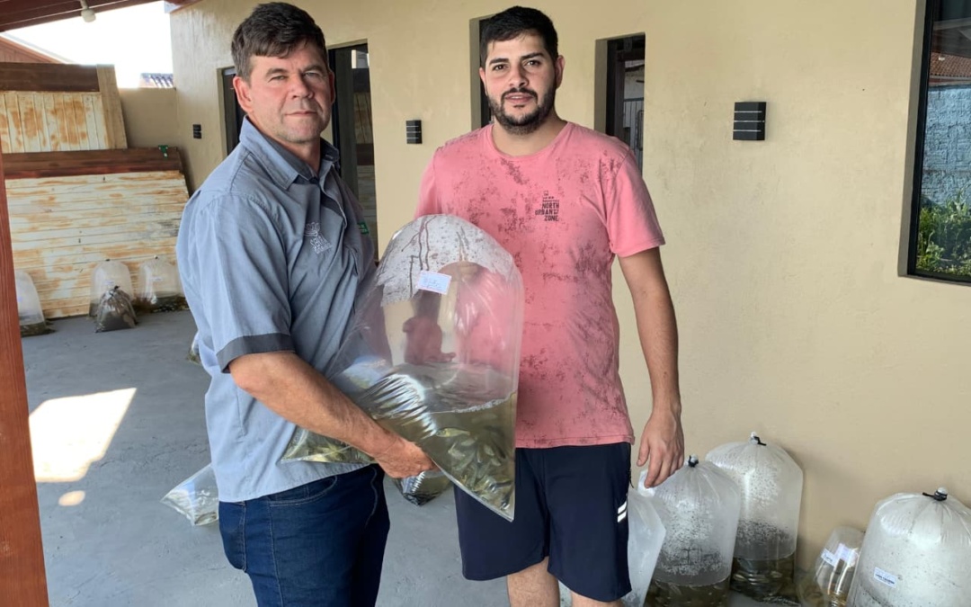 Campanha de Alevinos beneficia produtores e fortalece a piscicultura em Otacílio Costa