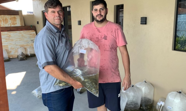 Campanha de Alevinos beneficia produtores e fortalece a piscicultura em Otacílio Costa