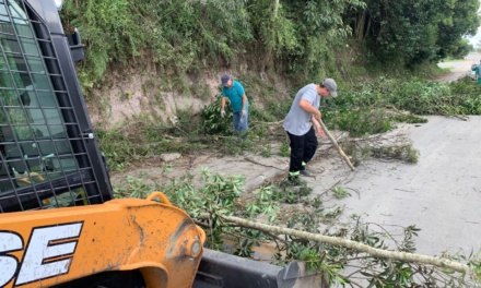 Mutirão de limpeza reforça segurança e preservação ambiental às margens da SC-114 em Otacílio Costa