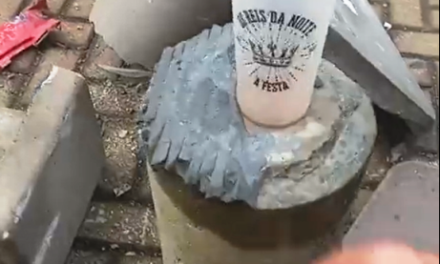 Veículo desgovernado deixa rastro de destruição na Nereu