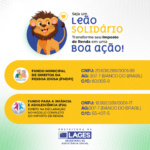 Leão Solidário 2026: Destine até 6% do Imposto de Renda devido para o Fundo da Infância e Adolescência ou ao Fundo Municipal dos Direitos da Pessoa Idosa