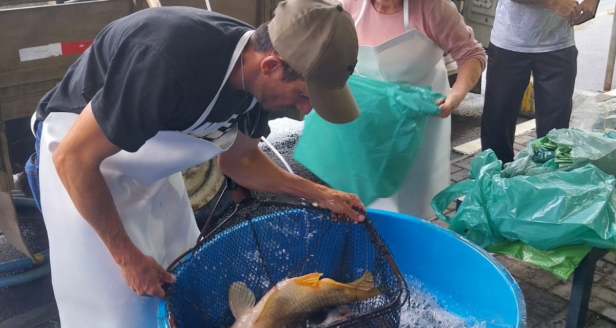 Tradicional Feira do Peixe Vivo começa a ser preparada em Lages
