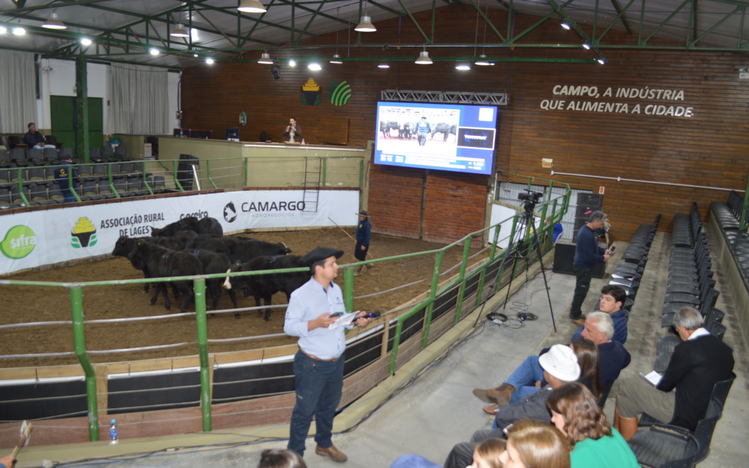 Associação e Sindicato Rural de Lages abrem temporada de leilões 2026