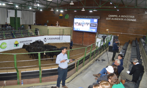 Associação e Sindicato Rural de Lages abrem temporada de leilões 2026