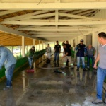 Mutirão garante recuperação do Parque Cambará, em Otacílio Costa