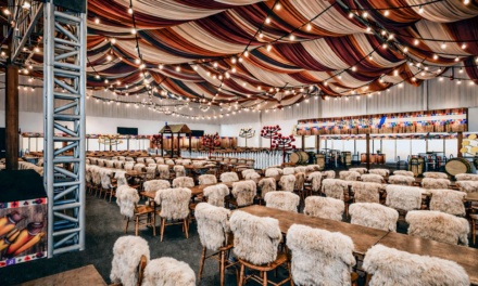 36ª Festa Nacional do Pinhão terá novos espaços temáticos e aposta em experiência imersiva