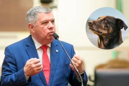 Política